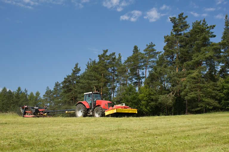 Tractor mowing grass in sunny field with trees